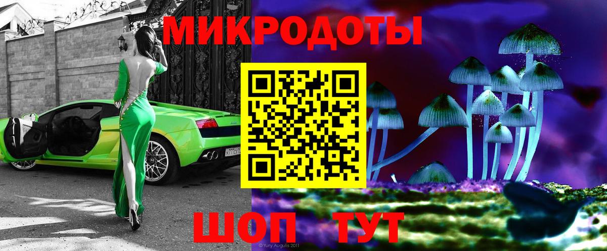 Псилоцибиновые грибы Psilocybe  Вход с VPN  Брянск  Галлюциногенные грибы Psilocybe 